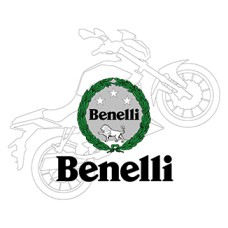 Запчасти на двигатель Benelli 500 cc