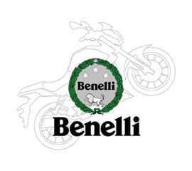 Запчасти на двигатель Benelli 500 cc