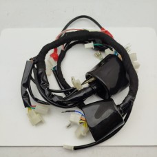 Электропроводка (тип 3) без влагозащиты -- Terra-X 250 NEW 2019