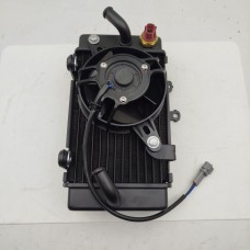 Радиатор охлаждения левый ADV 300