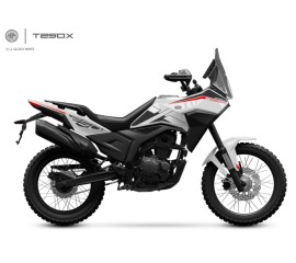 MORBIDELLI T250X PRO