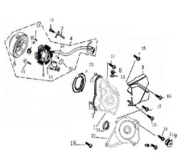 Left Crankcase Cover & Magnetic Motor