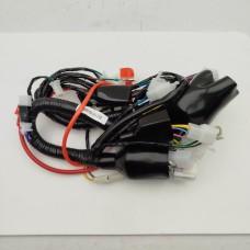 Электропроводка главная Baddog