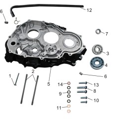 Right Crankcase Assembly