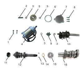 Starting Motor Assembly