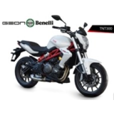 Benelli TNT300 запчасти мото