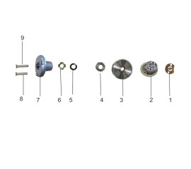 Oil Pump Assembly