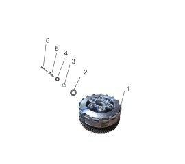 Clutch Assembly
