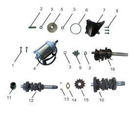 Starting Motor Assembly