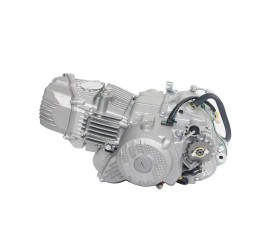 Двигатель W190D