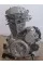 Двигатель в сборе RE250cc -- GEON TERRA -X 250 NEW 2019