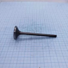 Клапан выпускной YGS 300