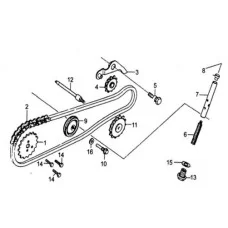 Timing Chain & Tensioner
