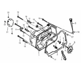 Right Crankcase Cover