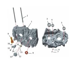 Left crankcase