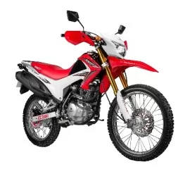 GEON X-ROAD 202CBF