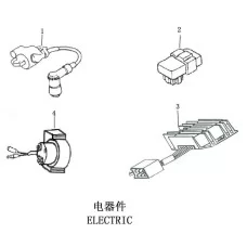 ELECTRIC