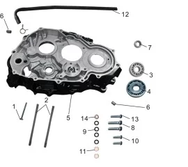 Right Crankcase Assembly
