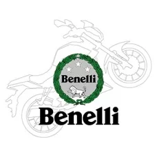 Запчасти на двигатель Benelli 600 cc