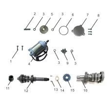Starting Motor Assembly