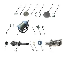 Starting Motor Assembly