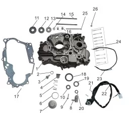 Left Crankcase Assembly
