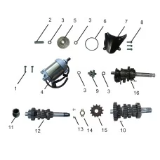 Starting Motor Assembly