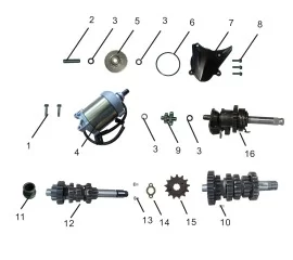 Starting Motor Assembly