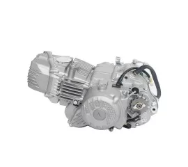 Двигатель W190D