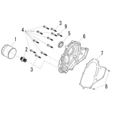RIGHT CRANKCASE COVER